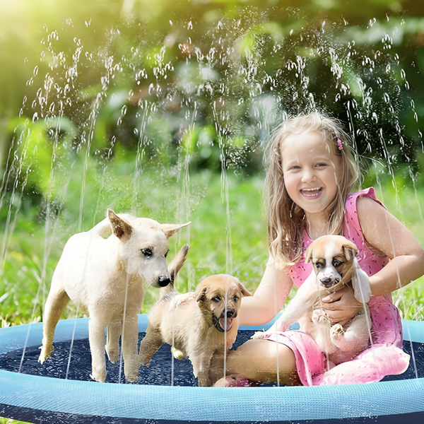 Dog Splash Pads